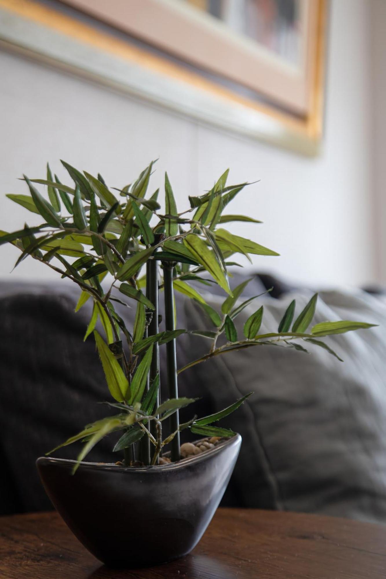 Modern 1Br Loft Close To The Seawalk Of Miraflores リマ エクステリア 写真